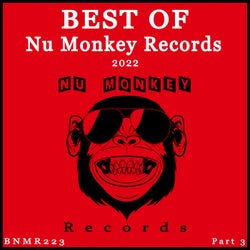 Best Of Nu Monkey Records 2022, Pt. 3