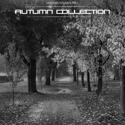 Autumn Collection