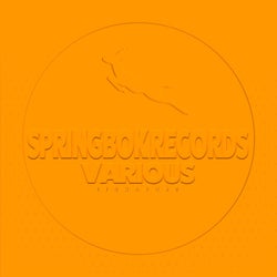 Spirngbok Records Various Signature