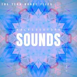 Kaleidoscope Sounds, Vol. 2 (The Tech House Files)