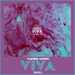 VIVA 2023.2