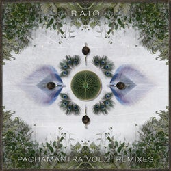 Pachamantra Vol. 2 (Remixes)