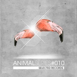 ANIMAL SERIES 010