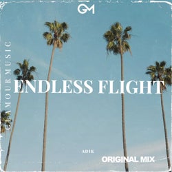 Endless Flight