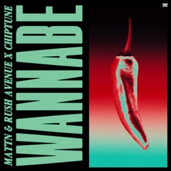 Wannabe (Extended Mix)