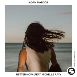 Better Now (feat. Michelle Ray)