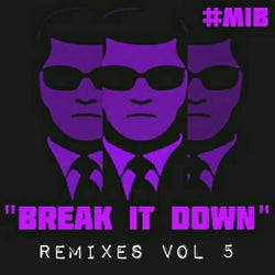 Break It Down (Remixes, Vol. 5)