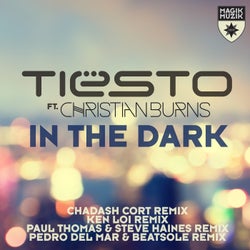 In the Dark - Remixes