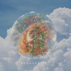 Pegasus