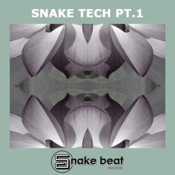 SNAKE TECH PT.1