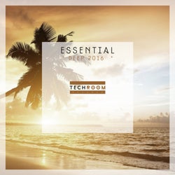 Essential Deep 2016