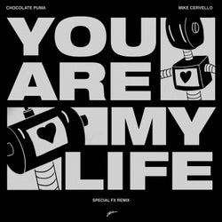 You Are My Life - Special FX Remix