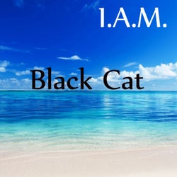 Black Cat