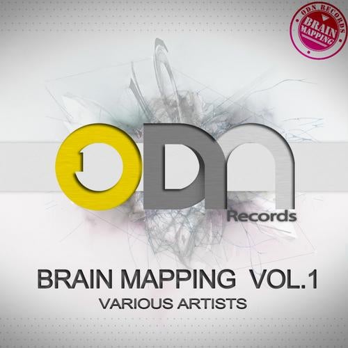 Brain Mapping Vol 1