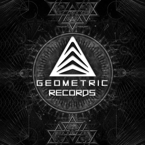 Geometric Records