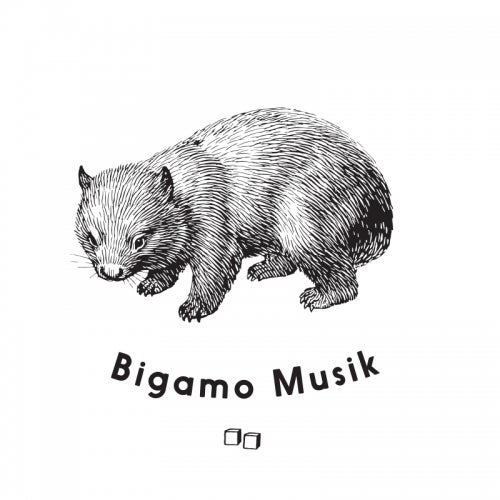 Bigamo Musik