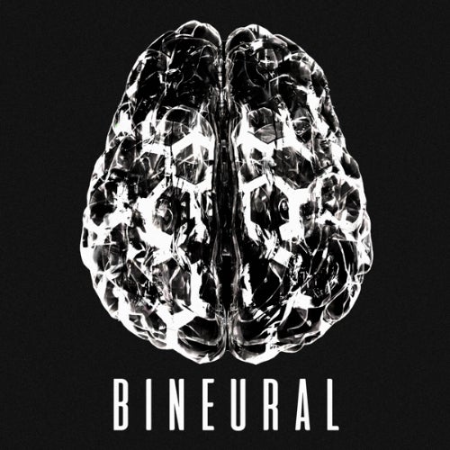 Bineural Records