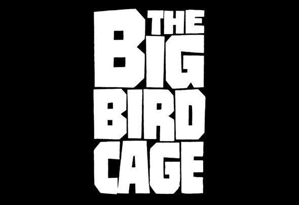 The Big Bird Cage