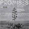 Promises (Mousse T.'s Extended Disco Shizzle Remix)