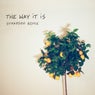 The Way It Is (Synapson Remix)