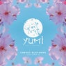 Cherry Blossoms Volume 3