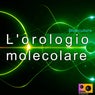 L'orologio Molecolare