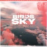 Birds In The Sky (Morgan Seatree Remix)