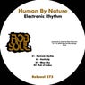 Electronic Rhythm