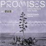 Promises (David Guetta Extended Remix)