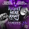 Right Here, Right Now (The Remixes)