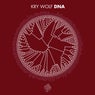 Kry Wolf DNA