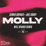 MOLLY (Will Sparks Remix) [Extended Mix]