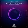 Magnetic Realms