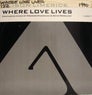 Dance Vault Mixes - Where Love Lives (Classic Mix)