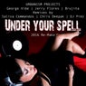 Under Your Spell 2016 Remixes