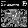 What You Want EP