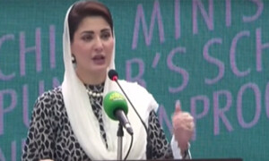 نواز شریف کے ویژن سے مہنگائی میں کمی آئی ہے، وزیراعلیٰ پنجاب مریم نواز