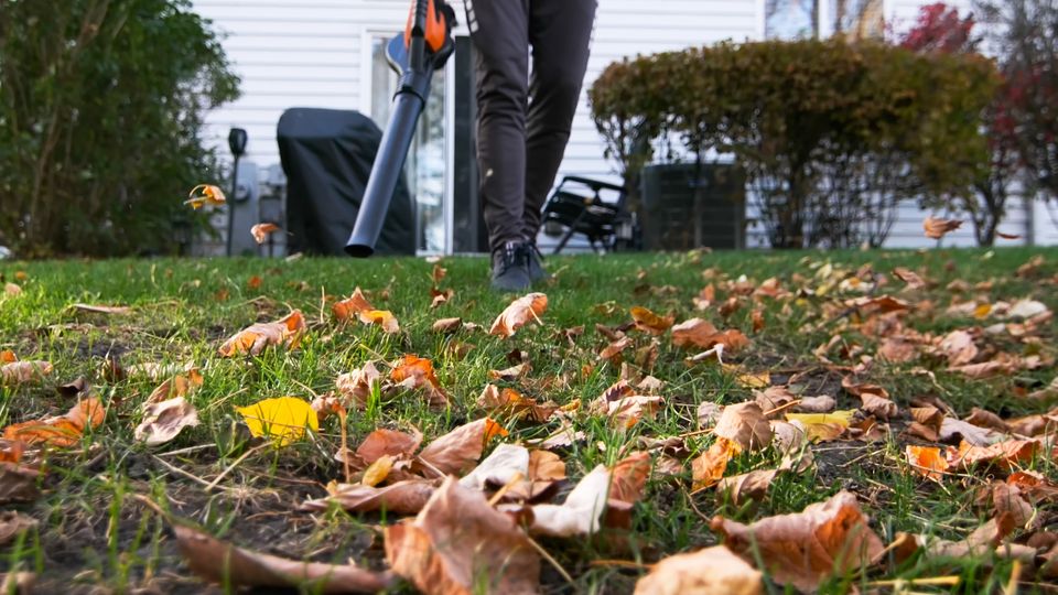 Für Umwelt und Gesundheit: Darum sollten Sie keinen Laubbläser verwenden