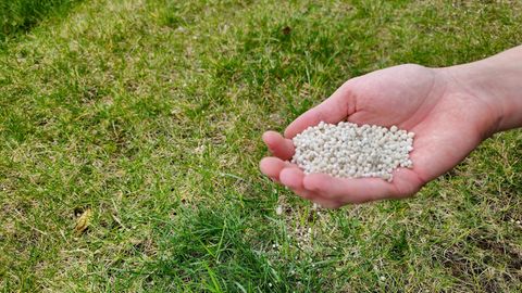 Rasen düngen im Frühjahr: Handaussaat mit mineralischem Rasendünger