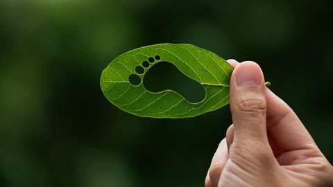 Balkonkraftwerke: Wie nachhaltig sind sie? Hand mit einem Blatt in der Hand, in das ein (ökologischer) Fußabdruck gestanzt ist.