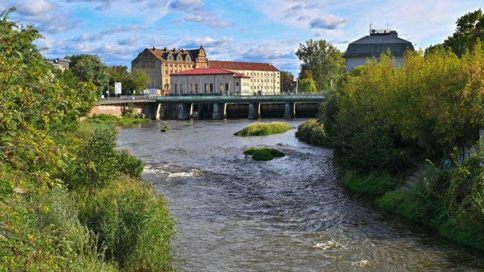 An der Oder droht in den kommenden Tagen eine Hochwasserwelle (Foto aktuell). Foto: Patrick Pleul/dpa