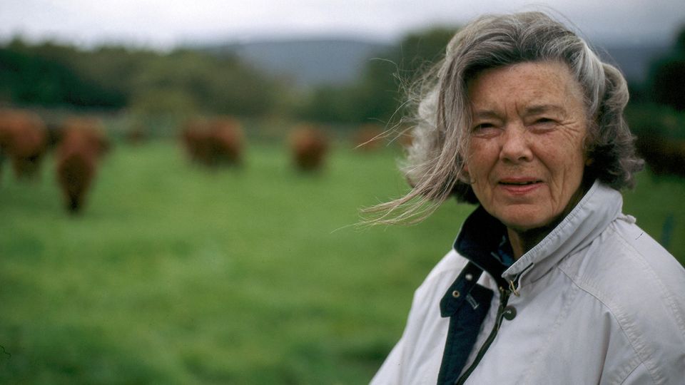 Rosamunde Pilcher blickt in die Kamera, im Hintergrund eine Wiese