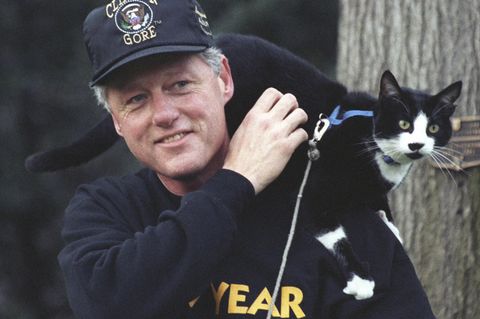 Bill Clinton und "First Cat" Socks