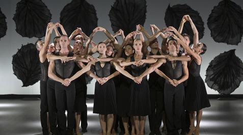 Malandain Ballet Biarritz llega esta tarde a Baluarte con su espectáculo ‘Les Saisons'.