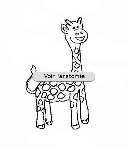 Plan girafe extérieur.png