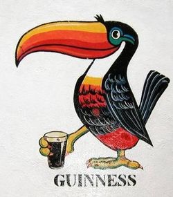 Toucan guinness.jpg