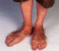 Hobbitfeet.jpg