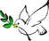 Dove peace.png