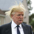 Donald Trump's Threat-Sensing Combover