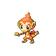 Chimchar